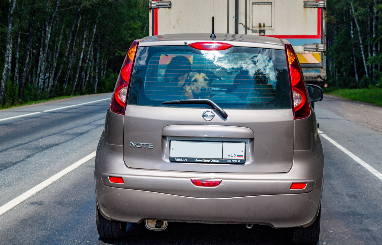 Смоленск, Автомобили, авто напрокат, прокат авто