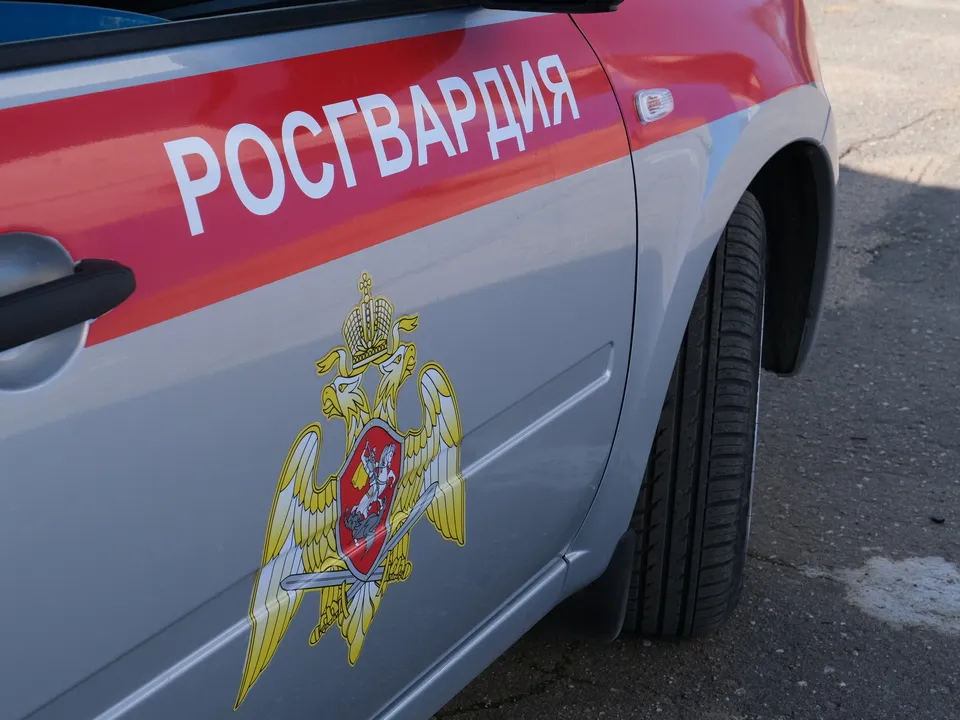 Рославль, автомобиль, Росгвардия, задержание, пьяный водитель